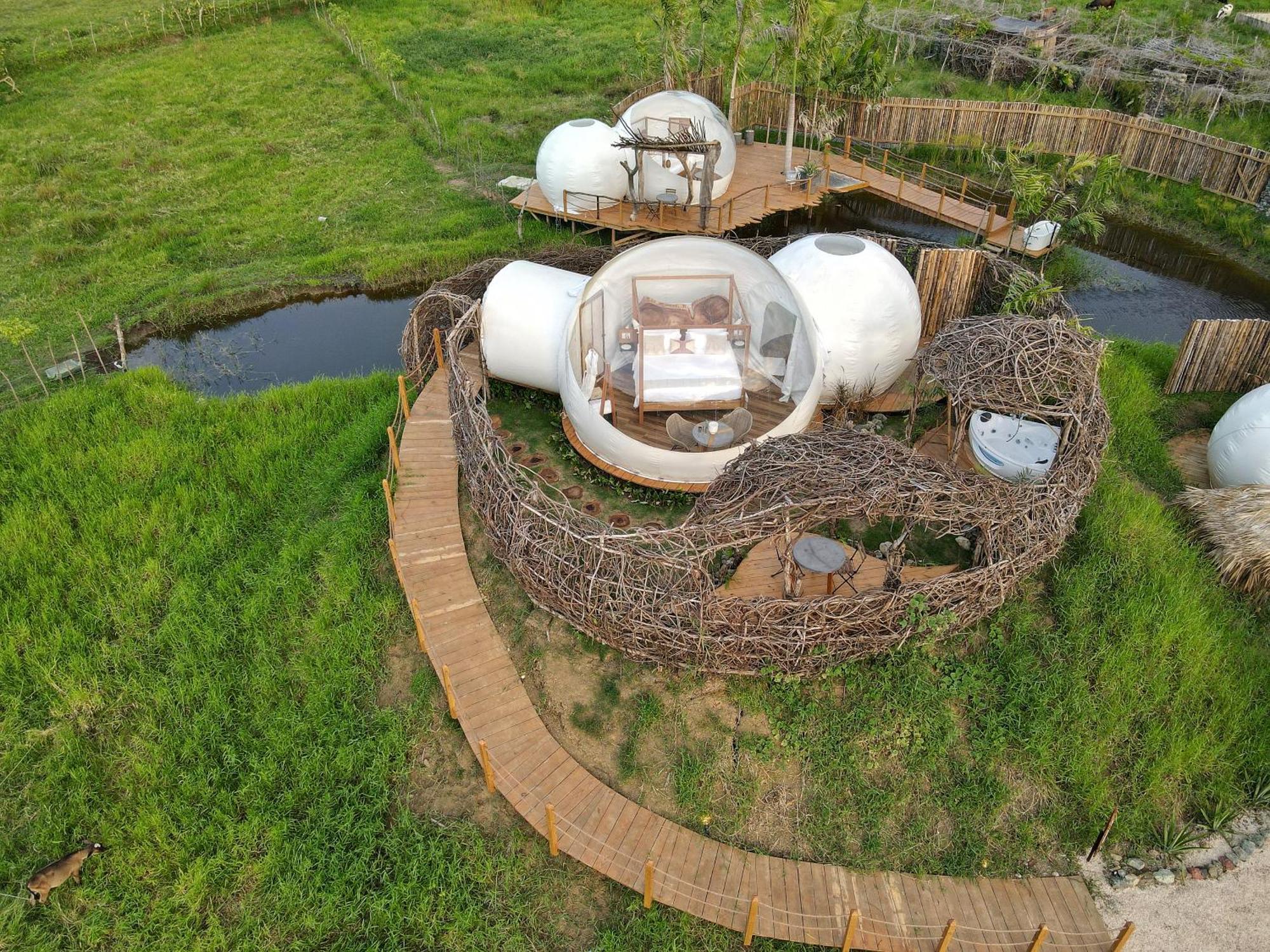 Green Land Bubble Glamping By Mint Cabarete Cameră foto