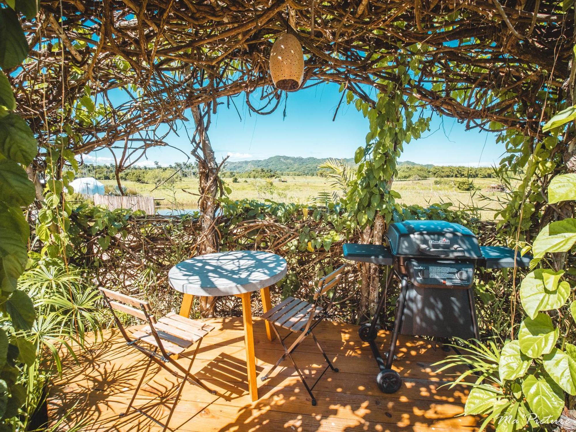 Green Land Bubble Glamping By Mint Cabarete Cameră foto