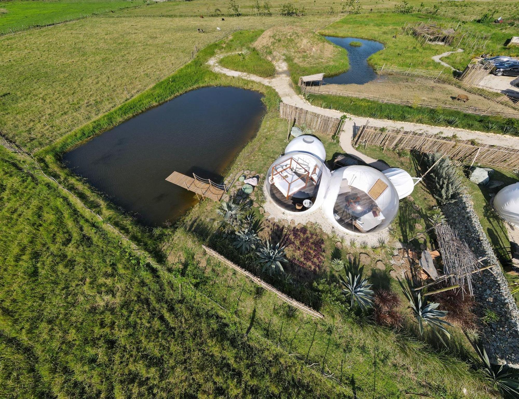 Green Land Bubble Glamping By Mint Cabarete Cameră foto