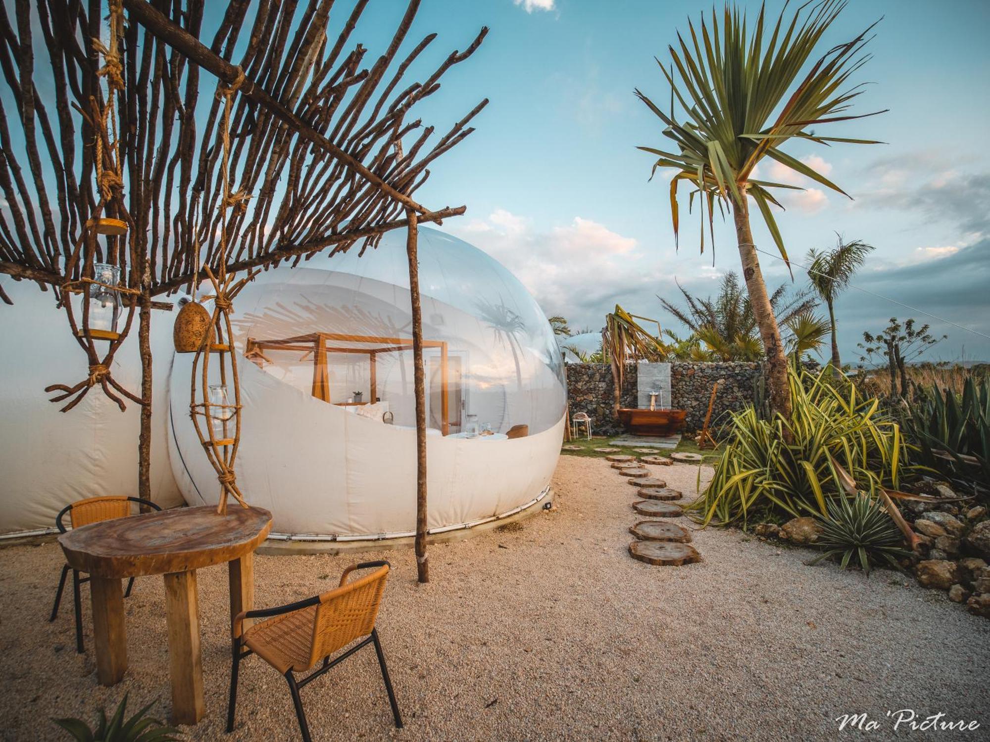 Green Land Bubble Glamping By Mint Cabarete Cameră foto