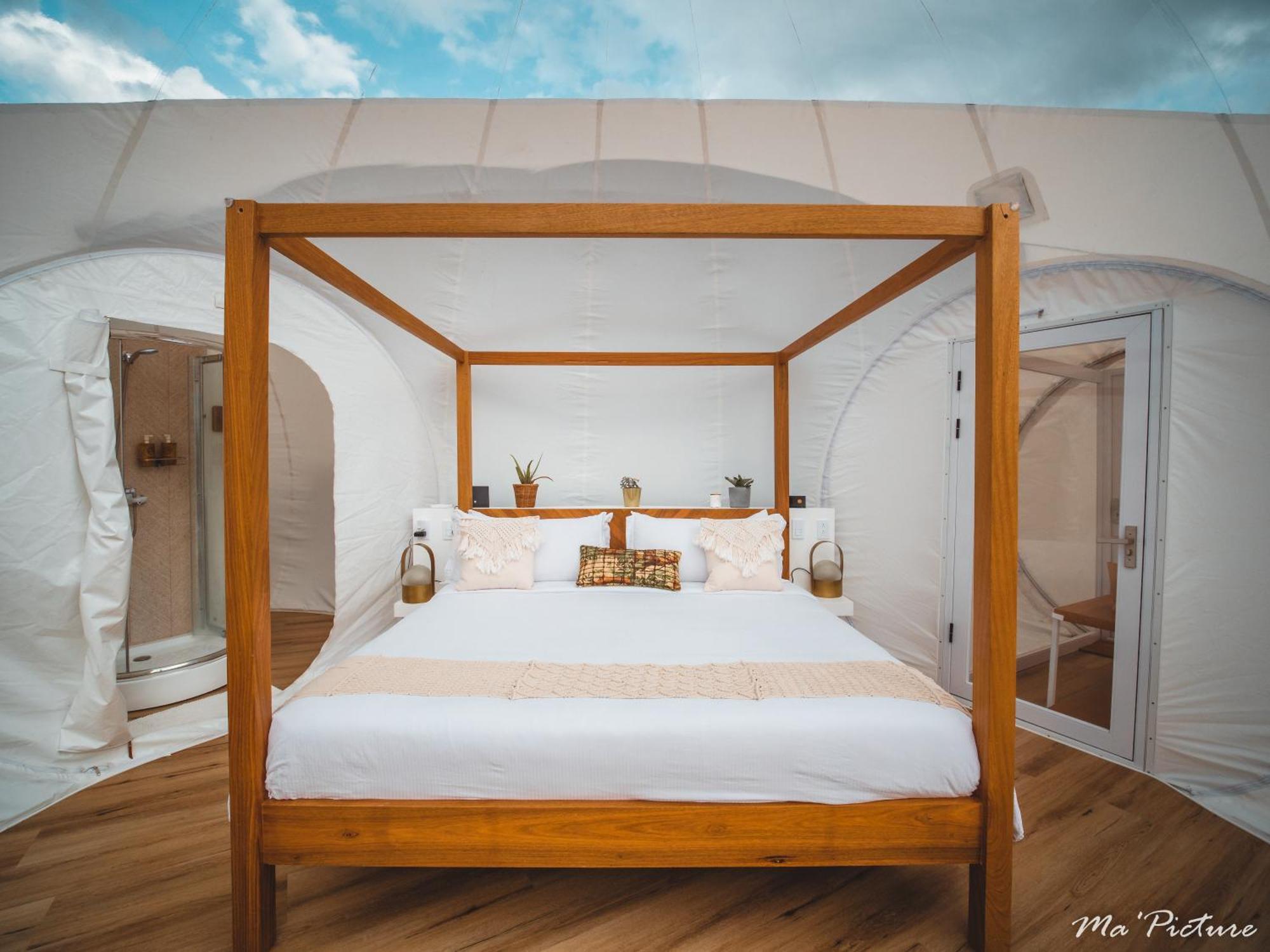 Green Land Bubble Glamping By Mint Cabarete Cameră foto