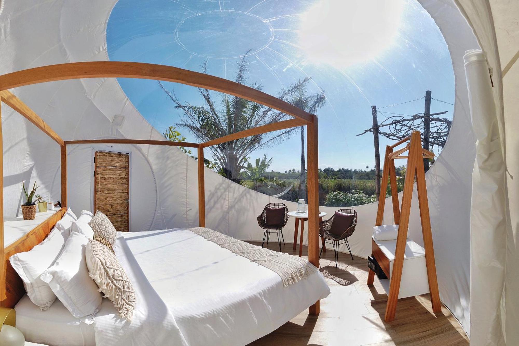 Green Land Bubble Glamping By Mint Cabarete Cameră foto